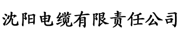 理论片大全在线观看电缆厂logo